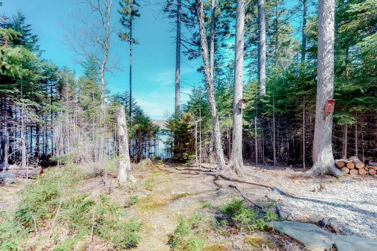 Loon Landing Lodge Greenville Extérieur photo