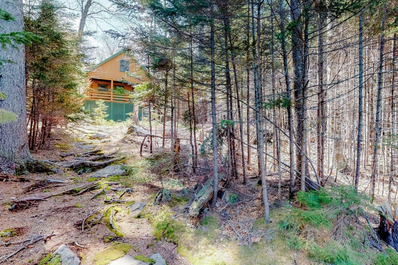 Loon Landing Lodge Greenville Extérieur photo
